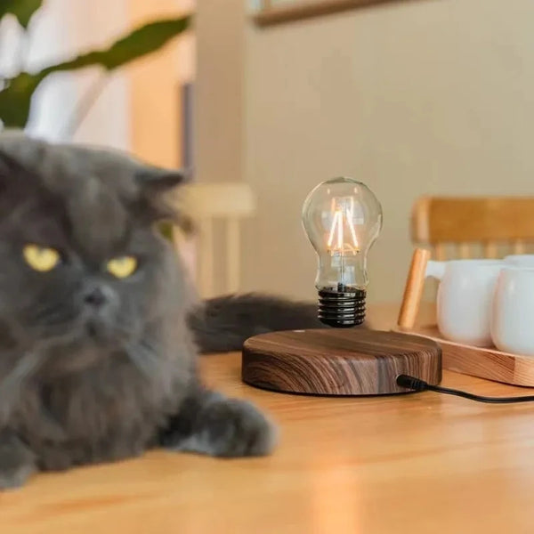 Luminária "Ideia" com Levitação Magnética Design Inovador - Lumecasa